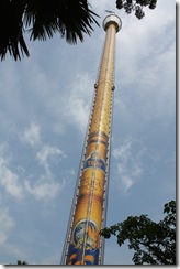 IMG_8919 IMG_8919