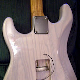 The ground wire which gets soldered to the trem claw in back.