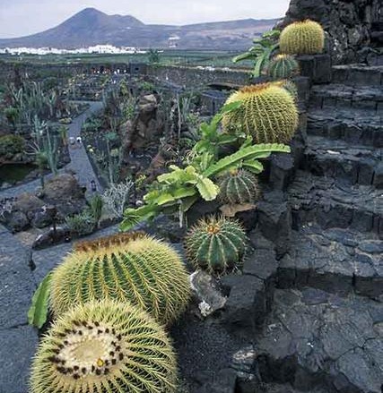 [08_ Jard__n de Cactus[3].jpg]