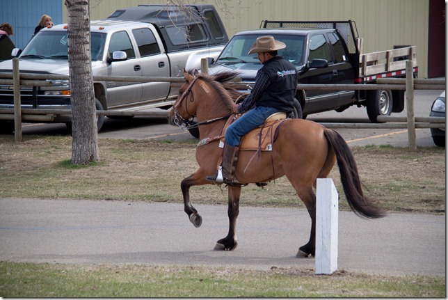 Cowboy Dressage