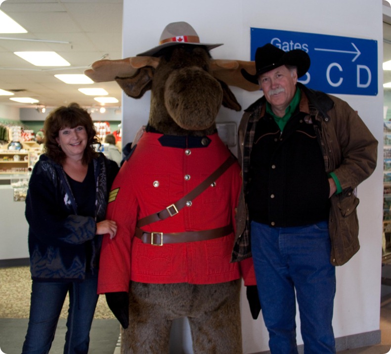 Icefields Parkway - Moose-1