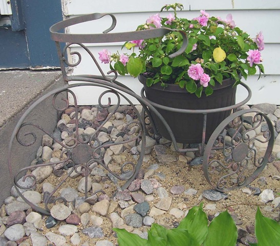 [impatiens[3].jpg]