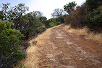 DiabloTrailHike_2010_10_23_002.JPG Photo