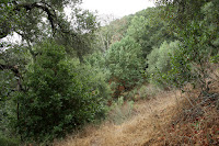 DiabloTrailHike_2010_10_23_121.JPG