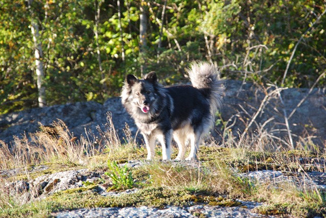 [DSC_0035[2].jpg]