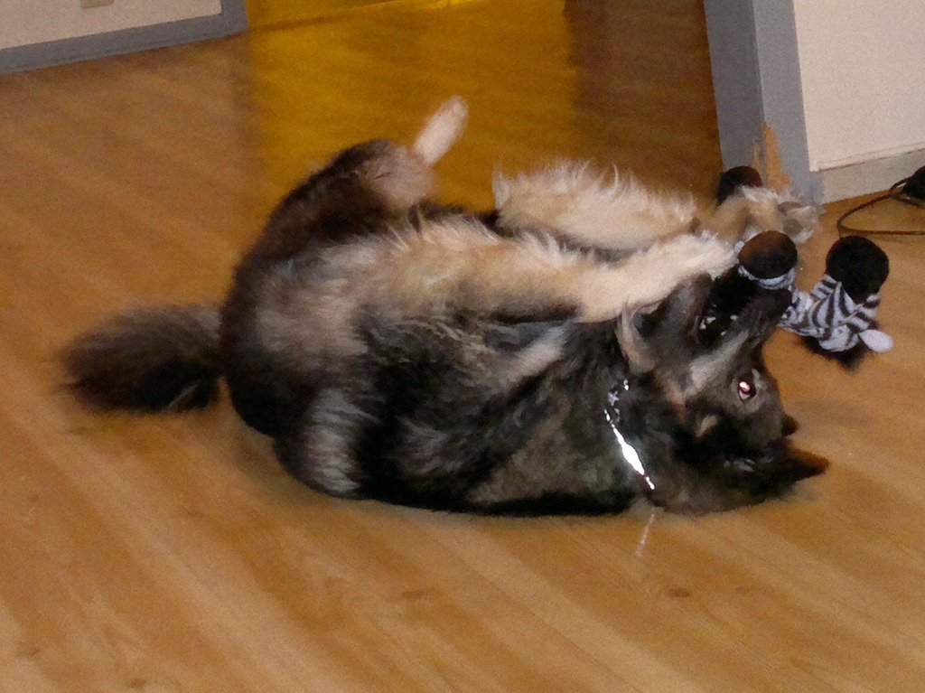 [03012011175[4].jpg]