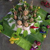 DSCN3660.JPG