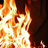 DSCN3949.JPG