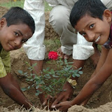 Mytree-Myworld33.jpg