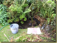 poorley pond
