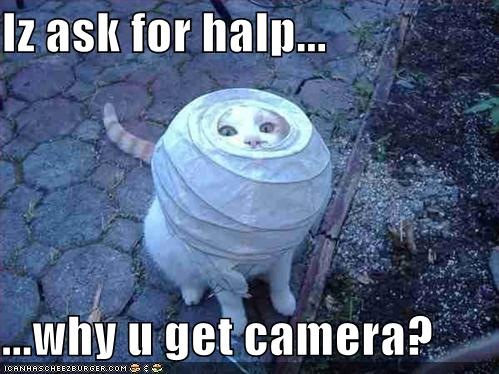 [funny-pictures-cat-is-asking-for-help-so-why-are-you-taking-photos[3].jpg]