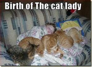 funny-pictures-a-cat-lady-is-born