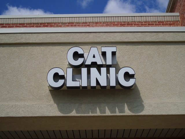 [2006-cat-clinic[3].jpg]
