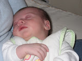 photo 051.jpg