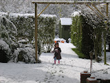 photo 023.jpg