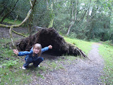 DSC08300.JPG