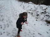DSC00489.JPG