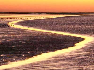 [estuary[2].jpg]