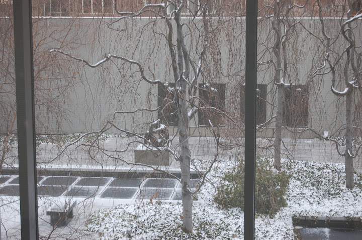 עצים ערומים