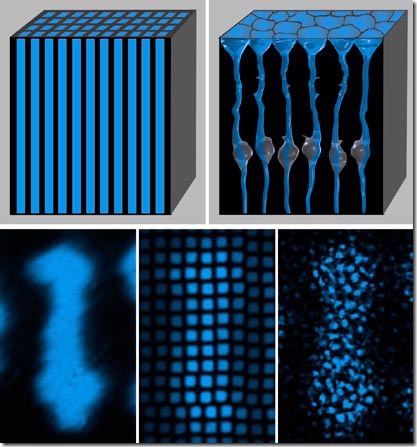 Comparison of Retina with Fiber-optic Plate