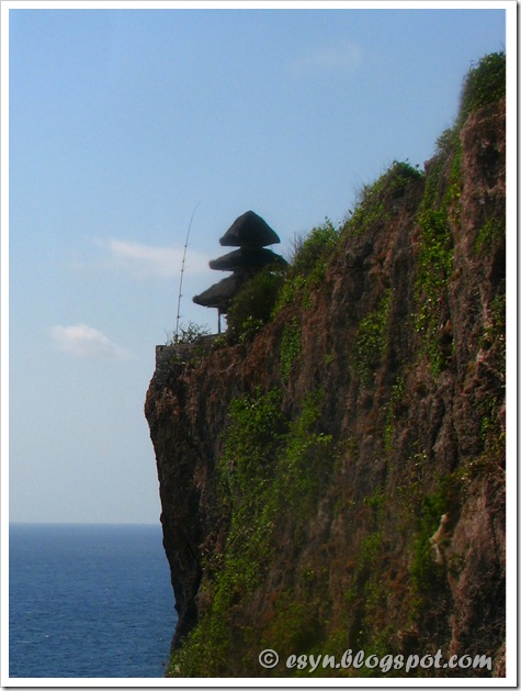 IMG_9955 IMG_9955