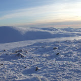 Tom Buidhe from Tolmont