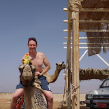 Duckee Tutanquaken the Egyptian Duckee