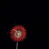 CRW_2154.jpg