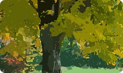 Autumm Autumm