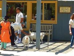 [picture 19 (Small)[3].jpg]