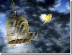 clip_image001[7]