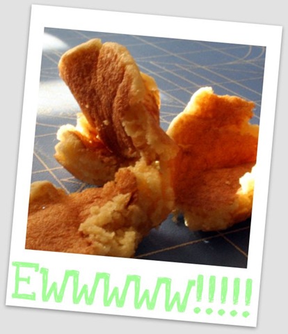 [EWWW![3].jpg]