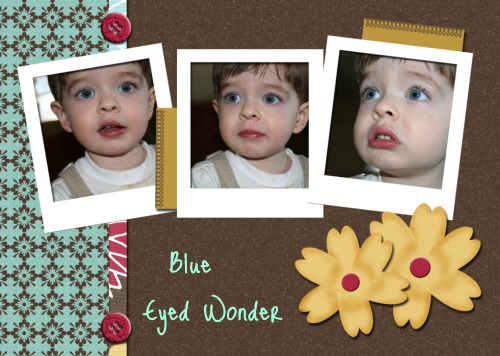 [Blue eyed wonder[1].png]