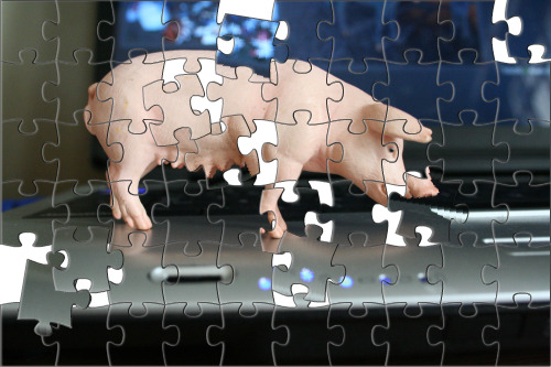 [puzzle pig[1].png]