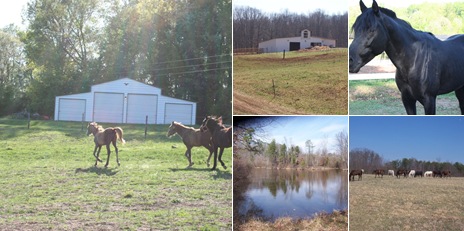 View Grace Farm