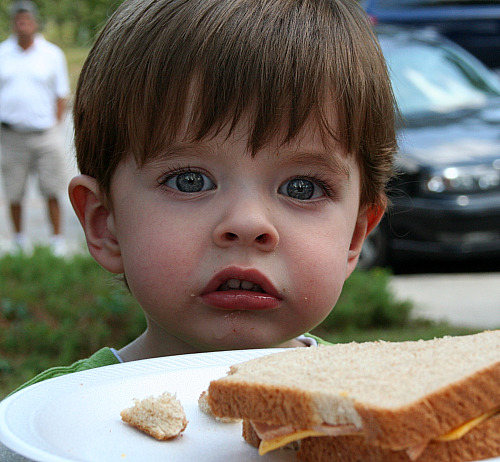 [Picnic1[1].png]