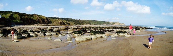 Cayton Bay rocks