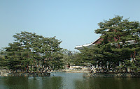 Pond at Gyeongbok Palace Pond at Gyeongbok Palace