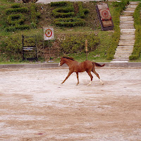 gyeongju2008 055.jpg gyeongju2008 055.jpg