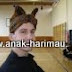 Anak Harimau Präsentation