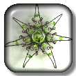 Forest Faerie Star Forest Faerie Star