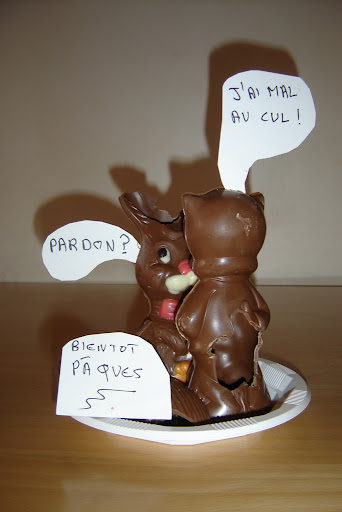 http://lh4.ggpht.com/_gyk3hD2sqac/R9VnPynrxBI/AAAAAAAAC_A/mDaz4gE5YXU/s512/DSC00460.JPG