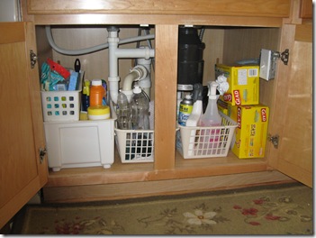 Under Kitchen Sink After