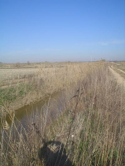 Canales de drenaje con formaciones de Carrizo.