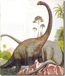 diplodocus1 diplodocus1