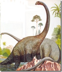 diplodocus1