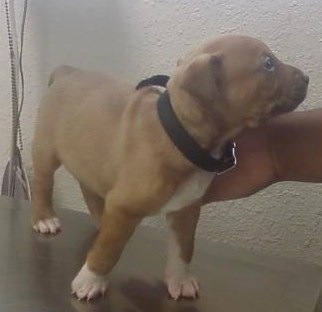 [(4-11) First Vet visit[3].jpg]