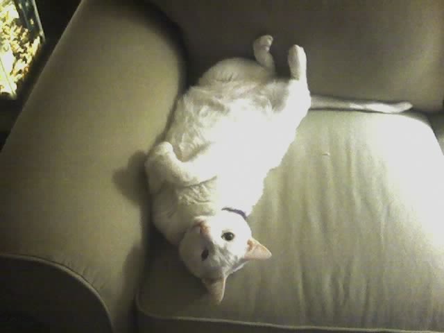 [Conner - Don't You Just Love the New Couch Smell 2[2].jpg]