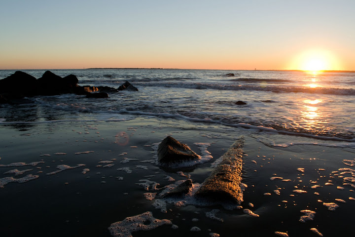 Palmetto Sunset