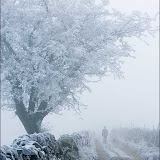 A Selection of Pictorial Images by Brian Ross
